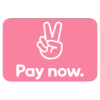 Klarna Pay now