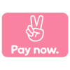 Klarna Pay now