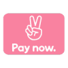 Klarna pay now (1)